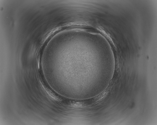 X0000086230062200703291340