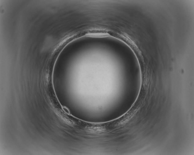 X0000086230063200703291340