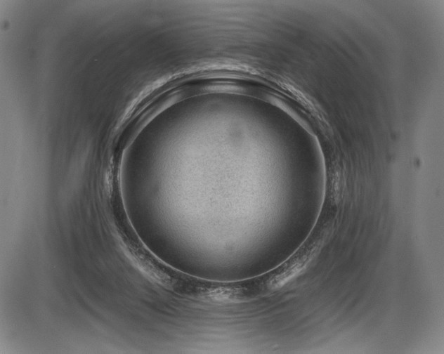 X0000086230064200703291340