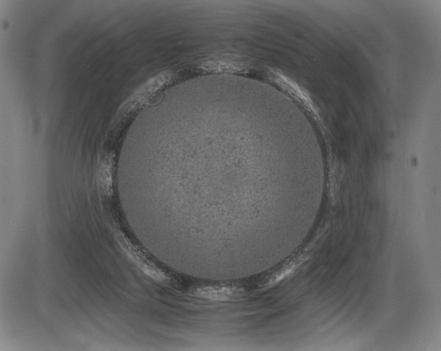 X0000086230065200703291340