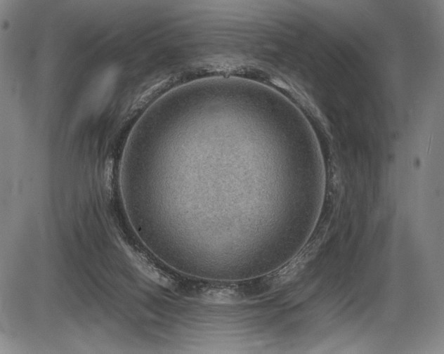X0000086230066200703291340