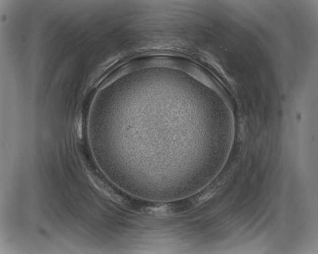 X0000086230068200703291340