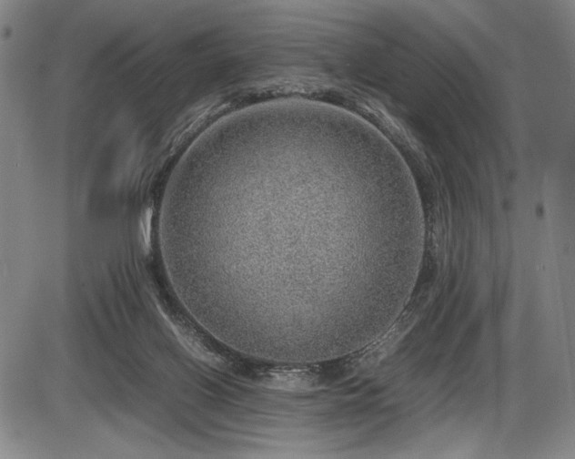 X0000086230070200703291340