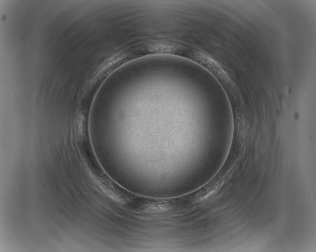 X0000086230071200703291340