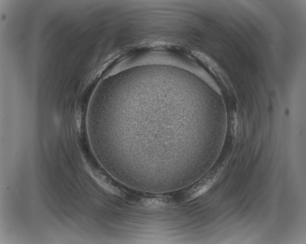 X0000086230072200703291340