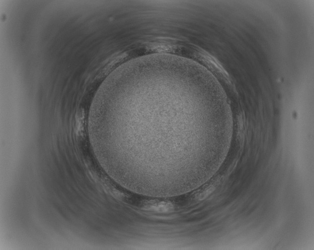 X0000086230073200703291340