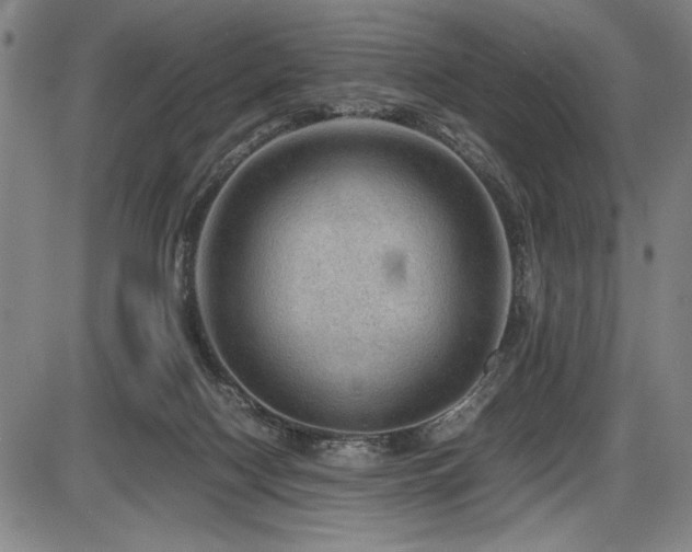 X0000086230074200703291340