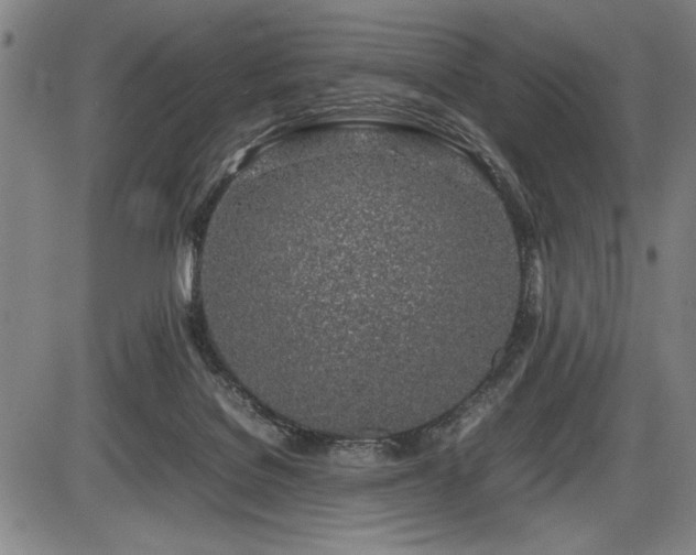 X0000086230076200703291340