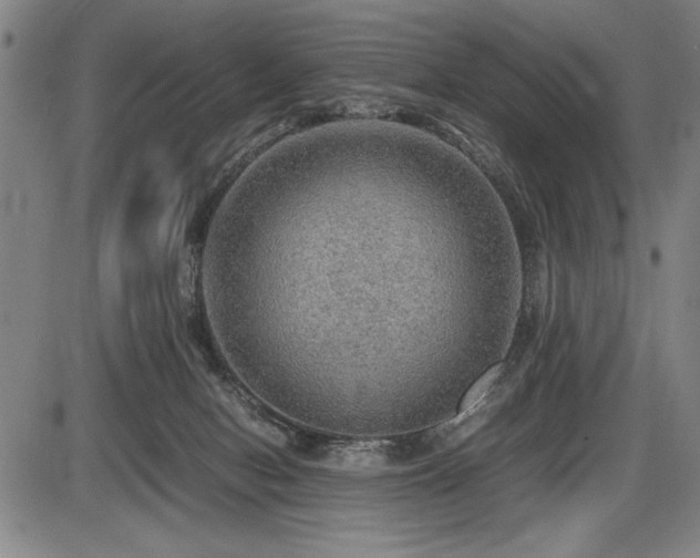 X0000086230078200703291340
