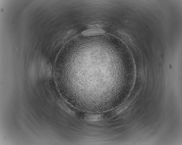 X0000086230081200703291340
