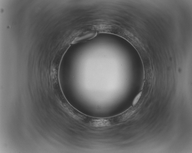 X0000086230087200703291340