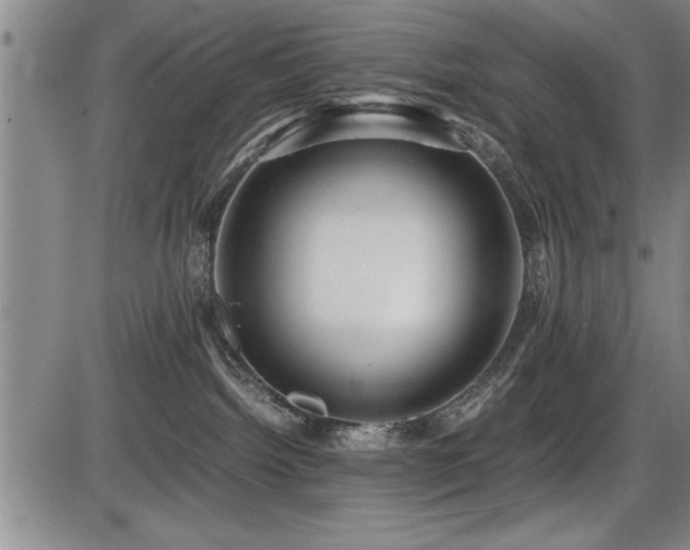 X0000086230092200703291341