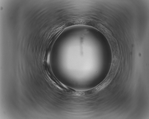 X0000086230096200703291341