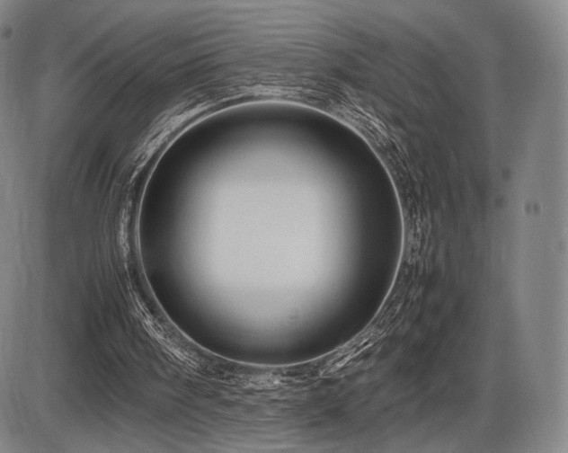X0000086230098200703291340