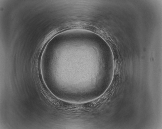 X0000086230099200703291340