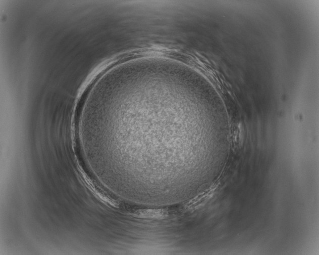 X0000086230102200703291340