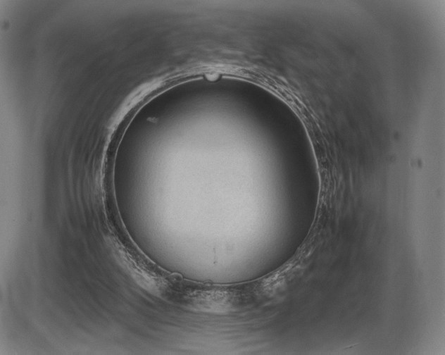X0000086230104200703291340