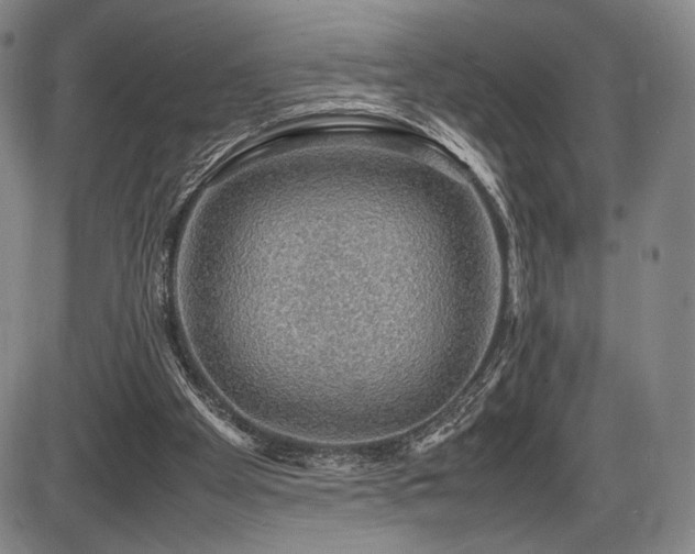 X0000086230105200703291340