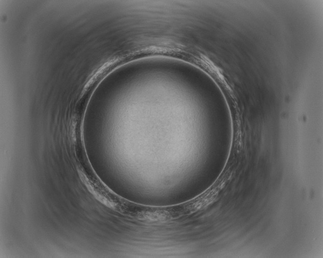 X0000086230106200703291340