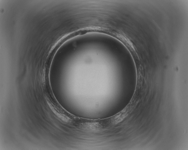 X0000086230108200703291340