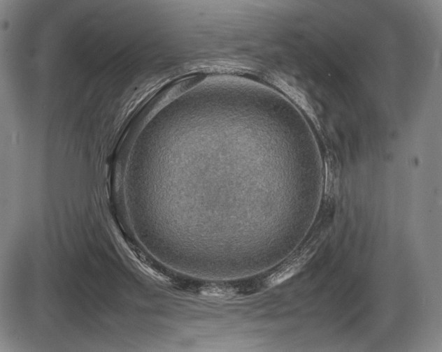 X0000086230109200703291340