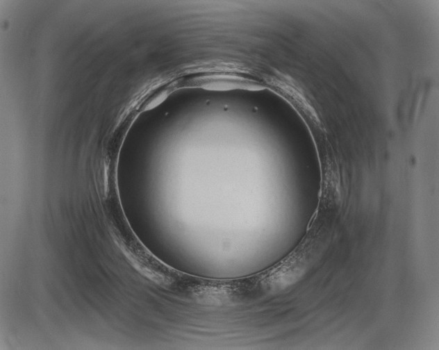 X0000086230110200703291340