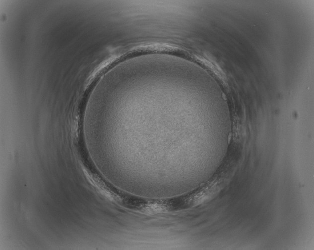 X0000086230111200703291340