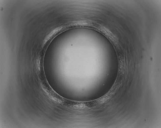 X0000086230112200703291340