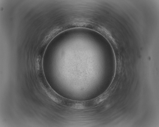 X0000086230114200703291340