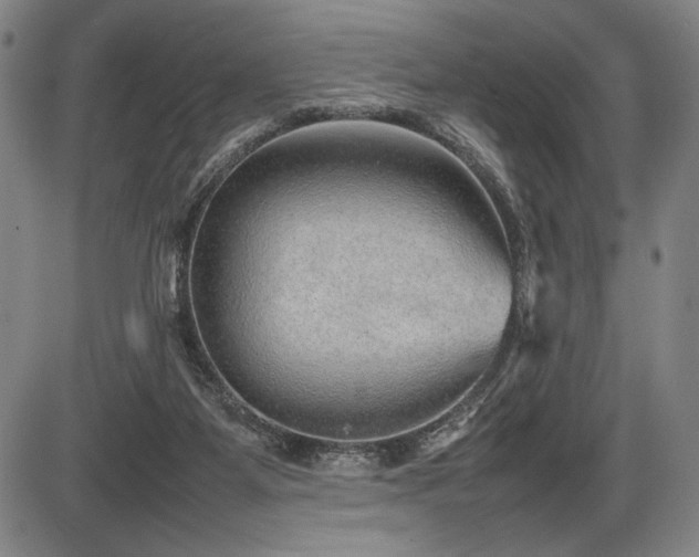 X0000086230115200703291339