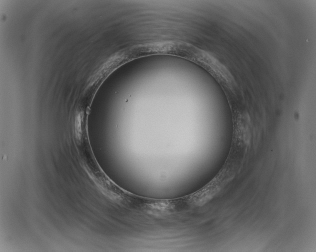 X0000086230118200703291339