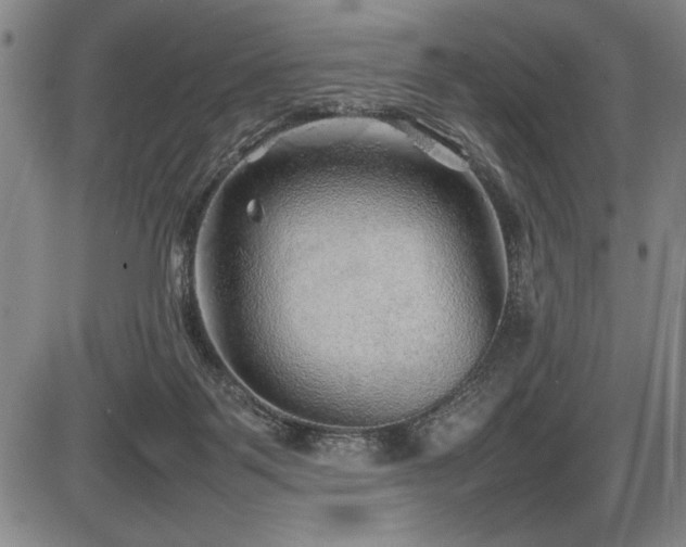 X0000086230123200703291339