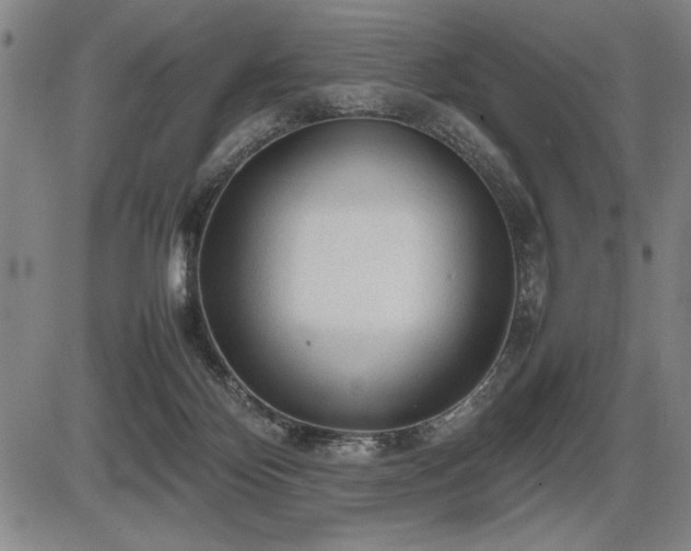 X0000086230124200703291339