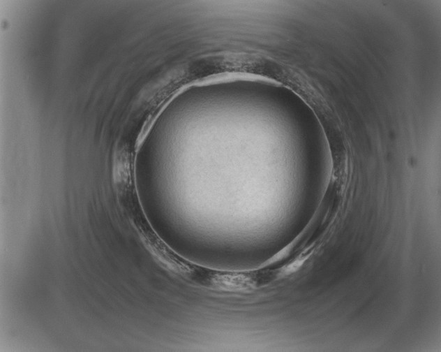 X0000086230137200703291339