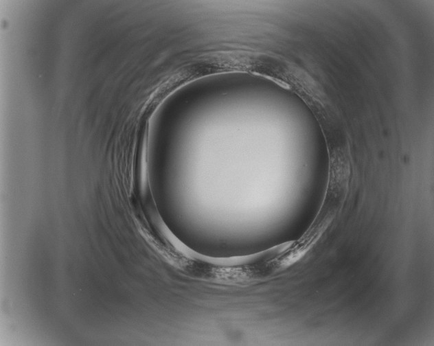 X0000086230141200703291339
