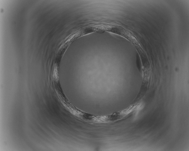 X0000086230143200703291339
