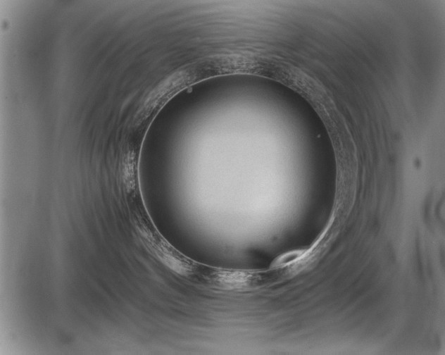 X0000086230144200703291339