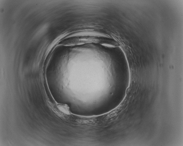 X0000086230147200703291338