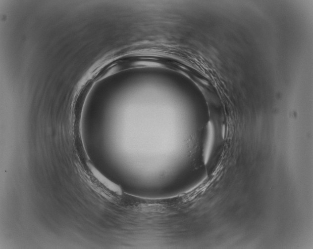 X0000086230150200703291338