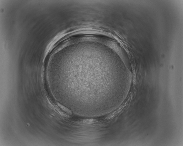 X0000086230152200703291338