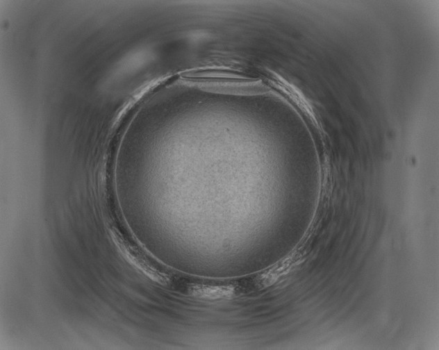 X0000086230155200703291338