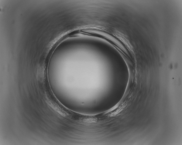X0000086230156200703291338