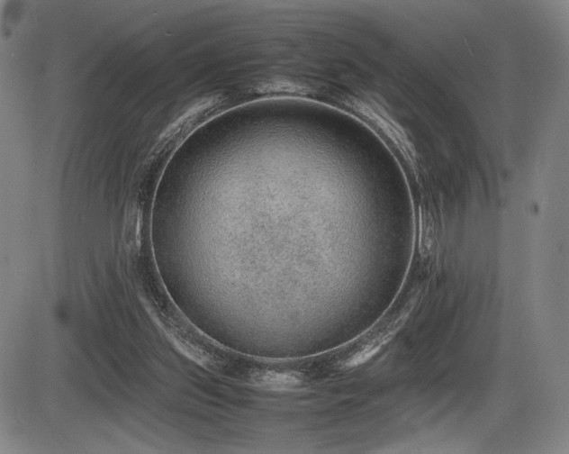 X0000086230157200703291338