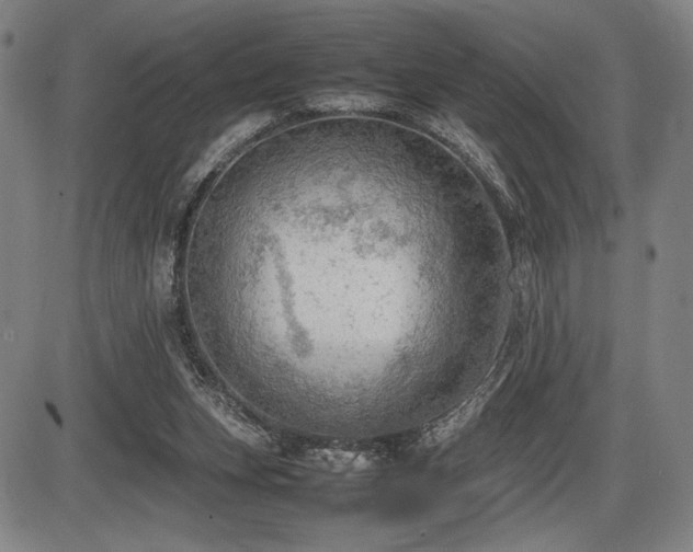 X0000086230159200703291338