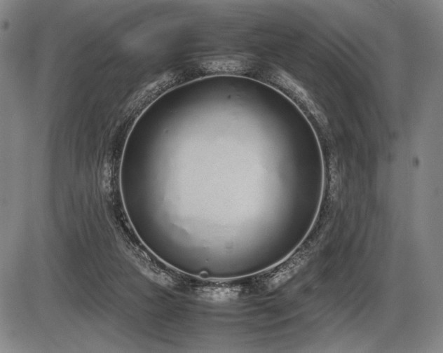 X0000086230161200703291338