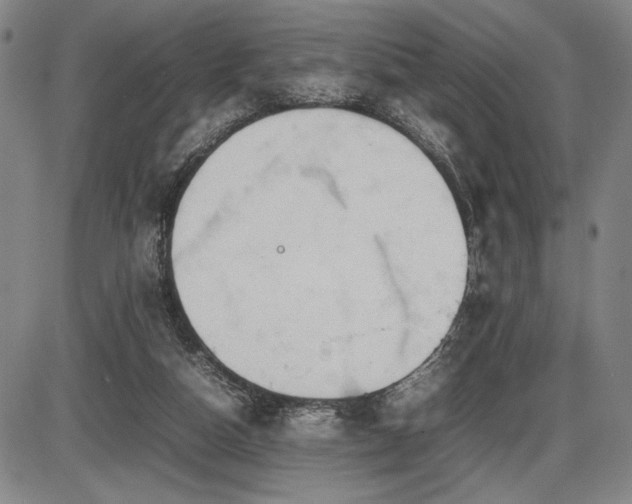 X0000086230162200703291338