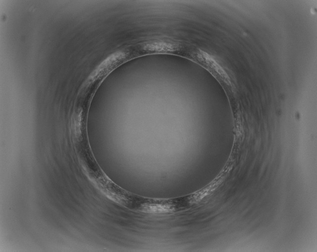 X0000086230163200703291339