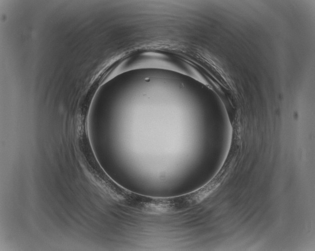 X0000086230164200703291339