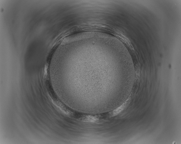 X0000086230166200703291339