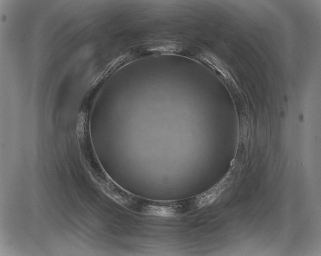 X0000086230167200703291339